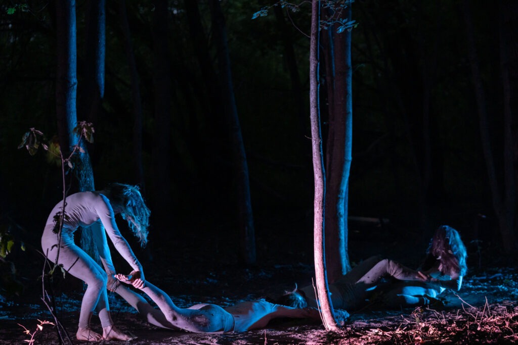 20250923_DichtesHolz_030(c)MichaelGizicki2025