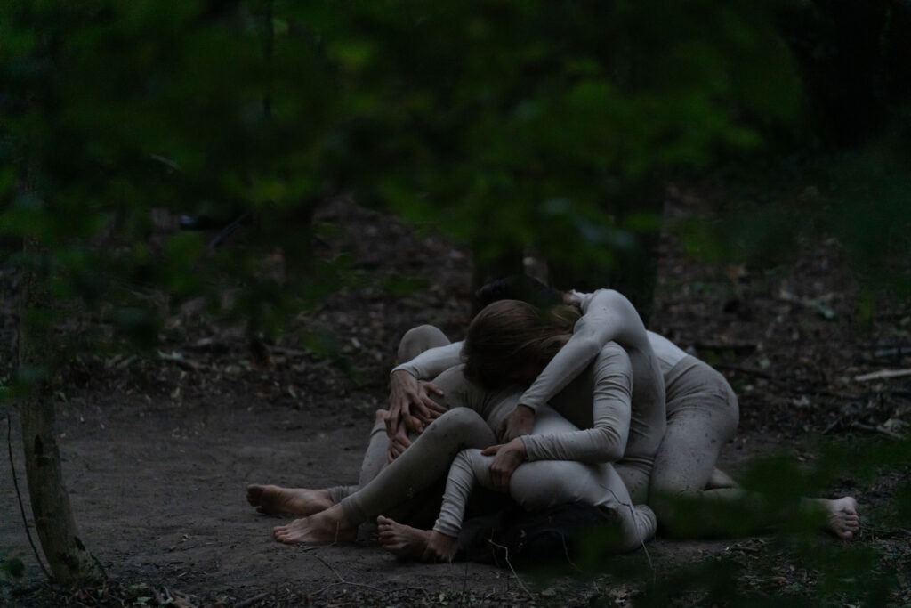 20250923_DichtesHolz_032(c)MichaelGizicki2025