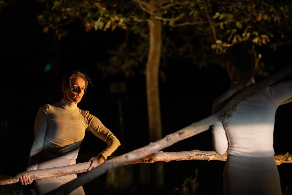 DICHTES HOLZ © Michael Gizicki