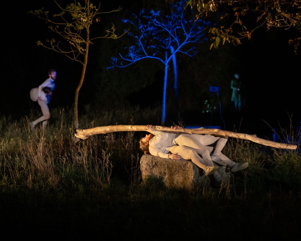 DICHTES HOLZ © Michael Gizicki