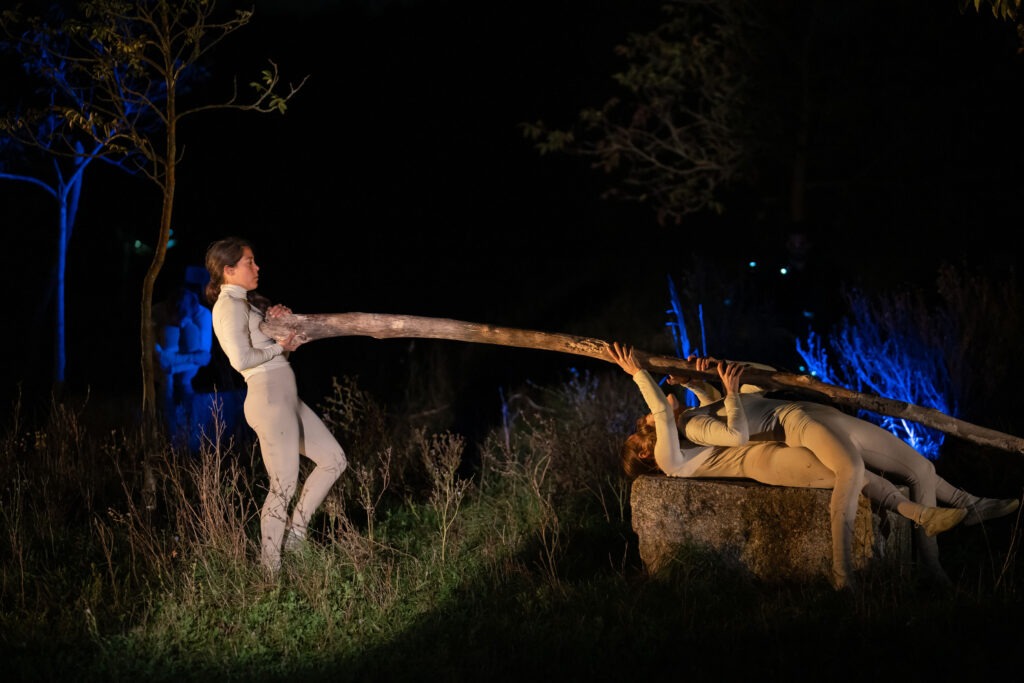 DICHTES HOLZ © Michael Gizicki