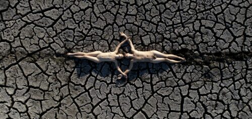 MTTW 2024 / GAIA © Denys Melnyk